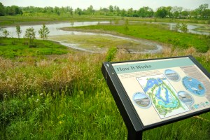 The stormwater utility helped pay for this flood control wetland park in Ann Arbor, MI.
