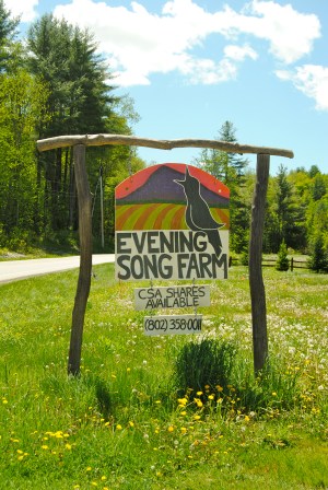The old sign for Evening Song Farm. The new property is up in the hills, out of the floodplain.