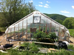 The new greenhouse on the hill at Evening Song Farm.