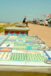 More mosaic art on public benches in Galveston.