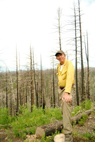 Bill Armstrong, a fuels specialist with the Forest Service, stands in the burn scar of the Las Conchas fire in the Santa Fe National Forest.