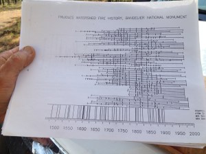The fires that maintained this landscape stopped abruptly in the late 1800s, when the era of fire suppression began.