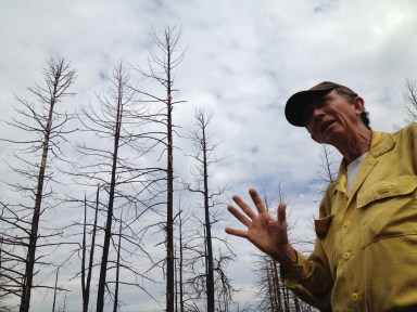 Bill Armstrong fights fire with fire.