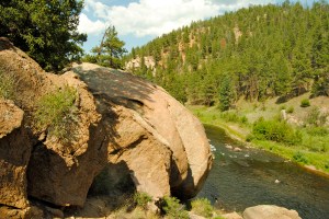 The South Platte River carries water through the Cheesman Canyon.