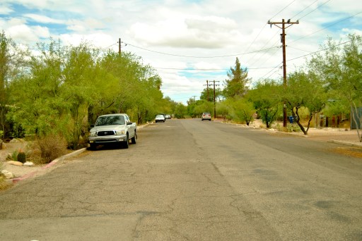 80 percent of Dunbar Spring residents now have curb cutouts that bring street runoff to sidewalk plants.