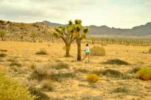 Allie Goldstein walking among the Joshua trees.