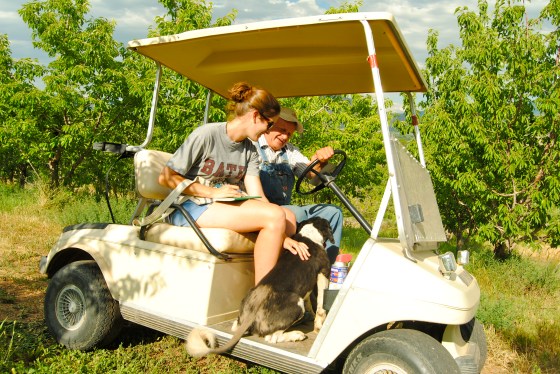 Allie Goldstein and Glenn Austin pet the Austin family dog while ridin' around the orchard via golf cart