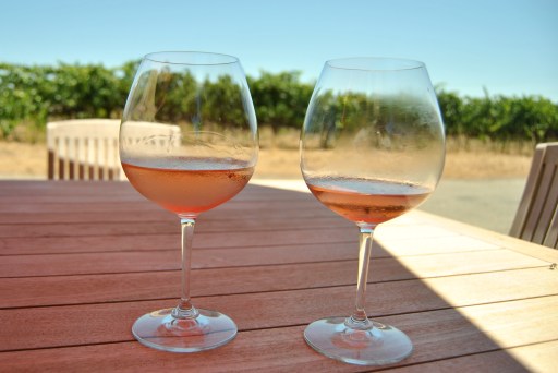 We spent the afternoon at Saintsbury winery and vineyard in the Napa Valley learning about resilience & winemaking.