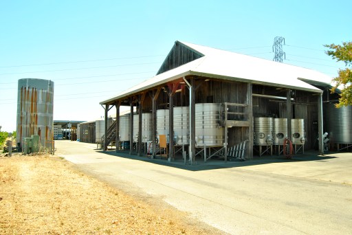 Where the (wine) magic happens at Saintsbury.