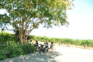 Lunch with the Saintsbury vintners. Co-founder David Graves believes that there are lots of possibilities for using 'big data' in decision-making on the vineyard.