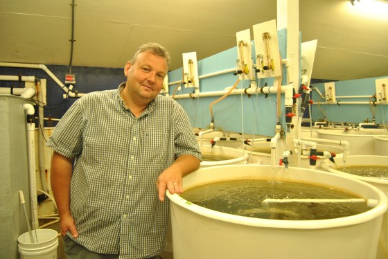 Benoit Eudeline of Taylor Shellfish stands next to a vat of his prized oyster larvae.