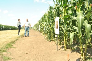 Dan Hansen of DuPont Pioneer tells Allie about research projects at the Innovation Center.