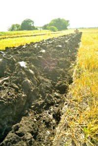 Tilling releases soil moisture and carbon emissions into the atmosphere.