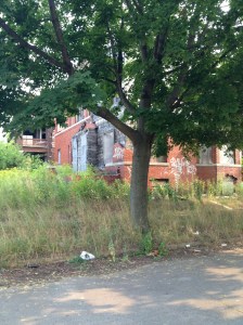 Rebuilding tree canopy could be key to cooling Detroit, reducing crime, and raising property values