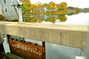 This tidal pond drains at low tide and fills at high tide, sometimes to very high levels.