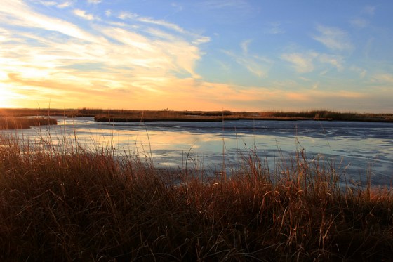 Sunset over the marsh at Blackwater National Wildlife Refuge in Dorchester County, which is highly vulnerable to sea level rise. | Photo: (c) Whitney Flanagan, The Conservation Fund