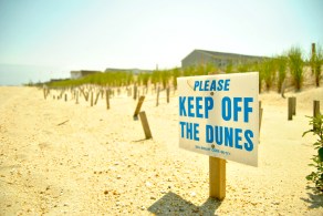 Rebuilding the dunes in Sea Bright takes some education and a lot of patience